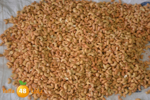 mokasaratshadyjamal (20).JPG